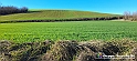 20230110_144722 - Dalla terra... il grano